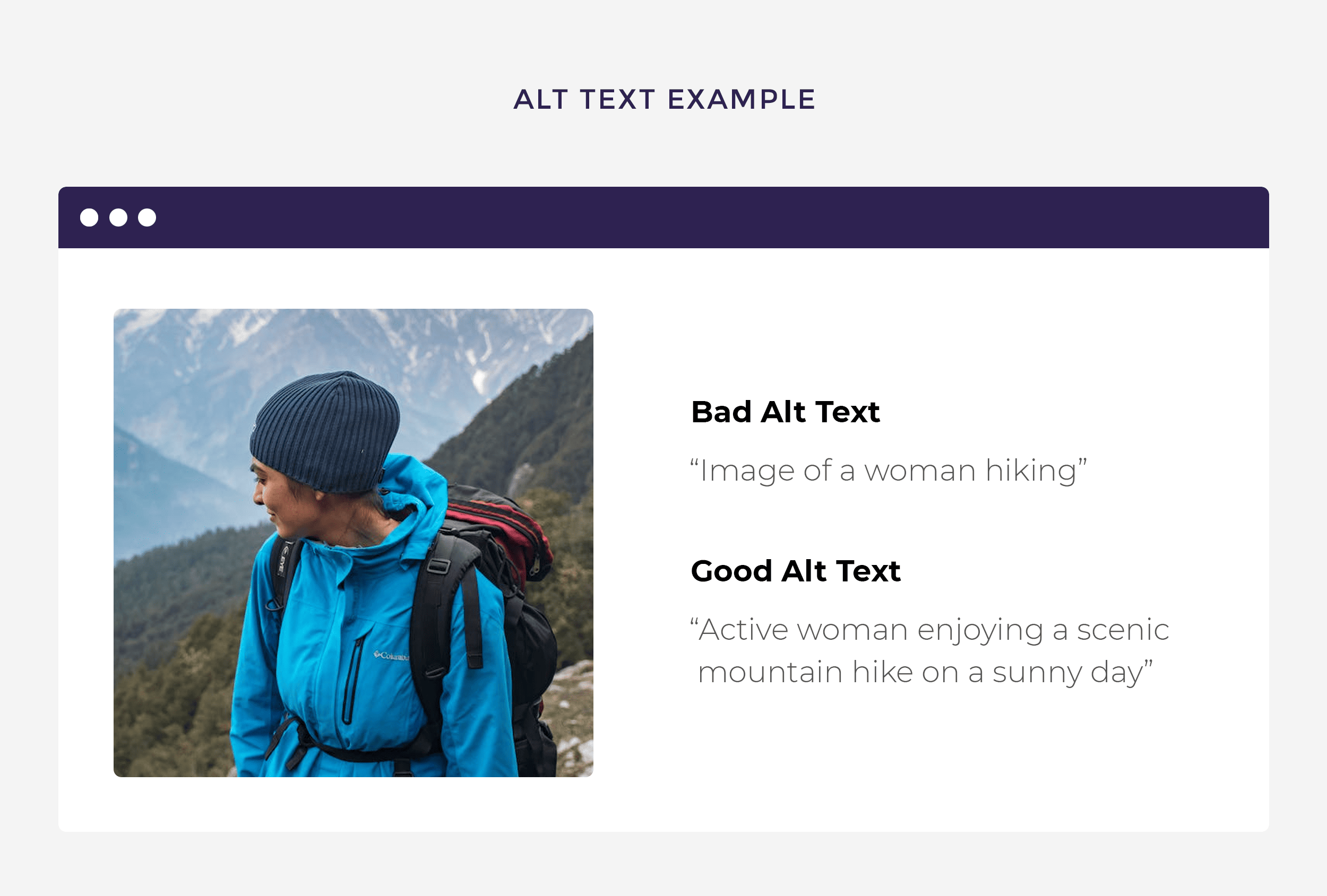 Alt text example