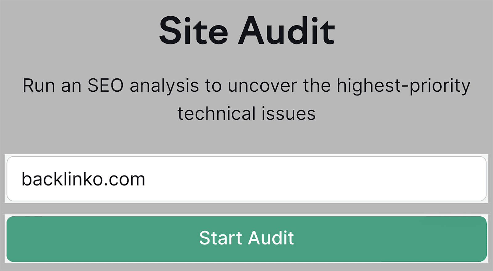 Enter domain and start audit