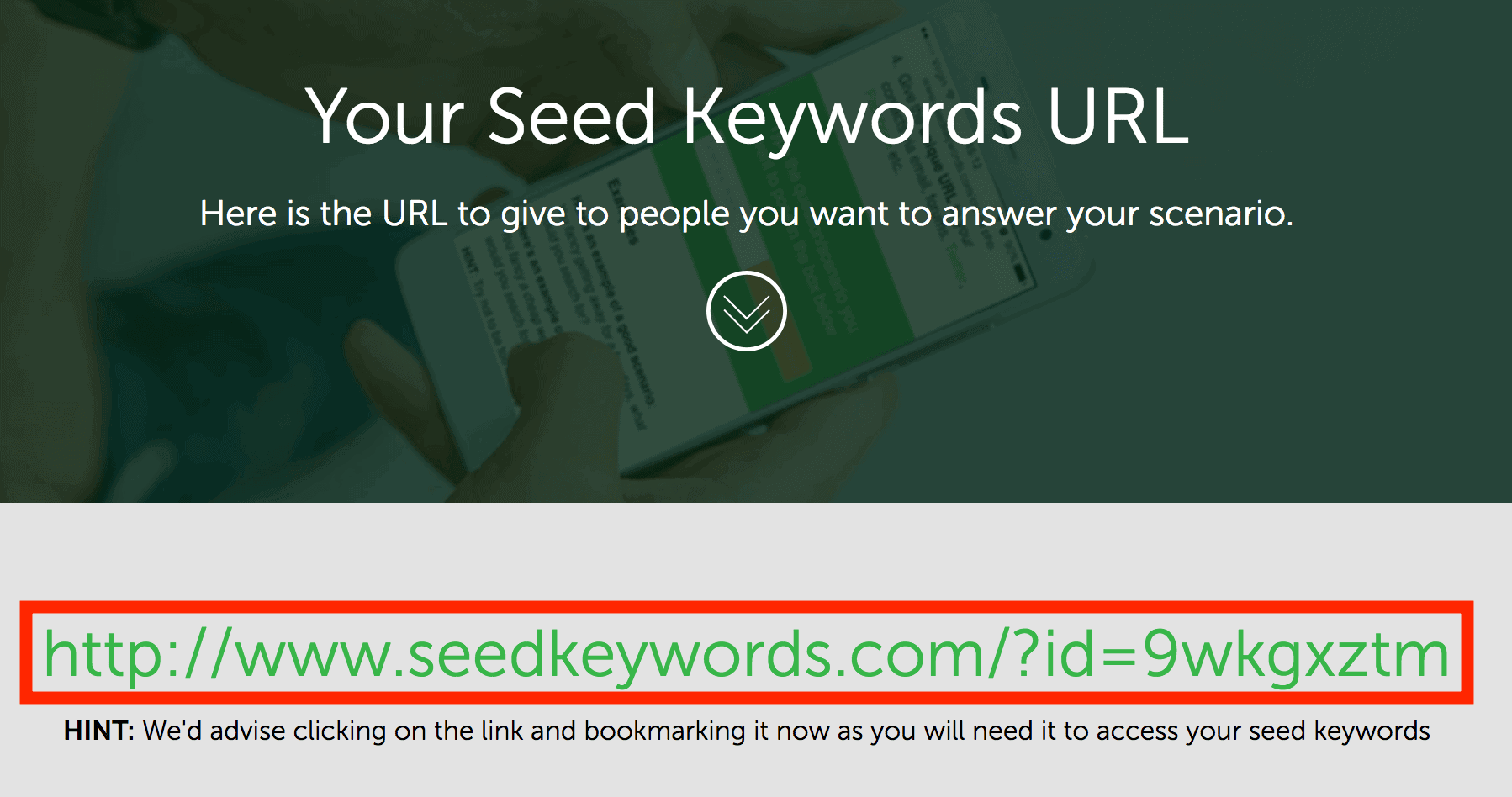 Seedkeywords link